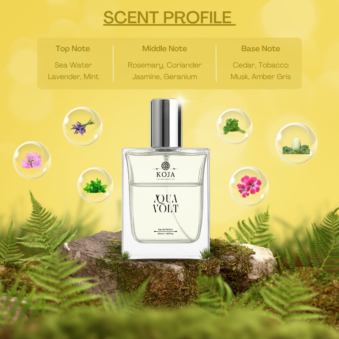 Cool Water / Aqua Volt - Inspired by Davidoff Cool Water Men Eau De Toilette