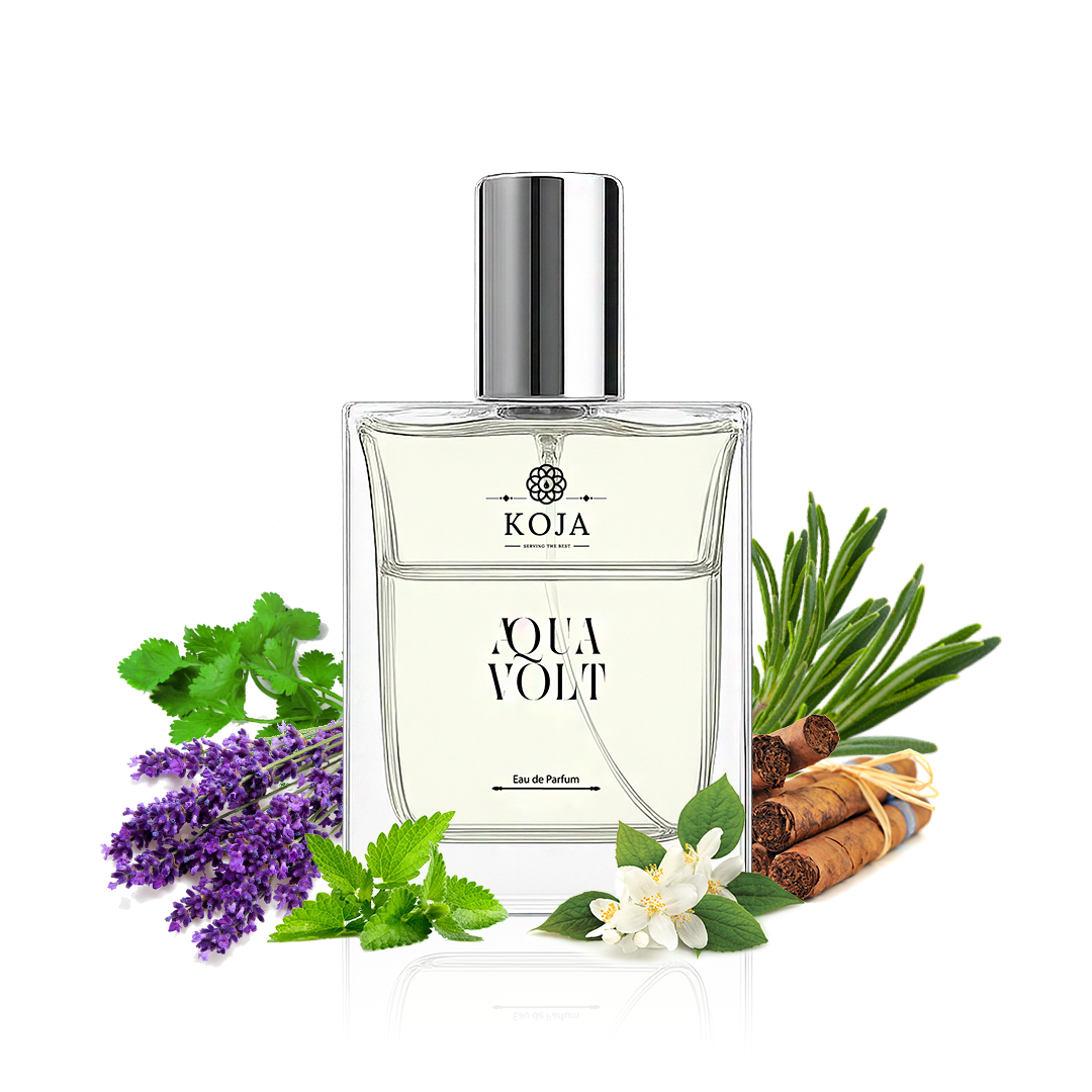 Cool Water / Aqua Volt - Inspired by Davidoff Cool Water Men Eau De Toilette